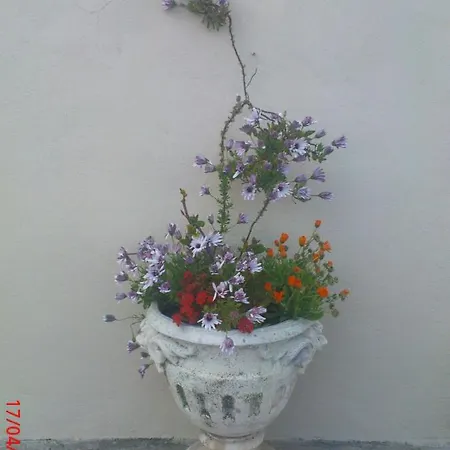 Dans Village Medieval Pietonnier, Executive Vue Exceptionnelle Roquebrune-Cap-Martin